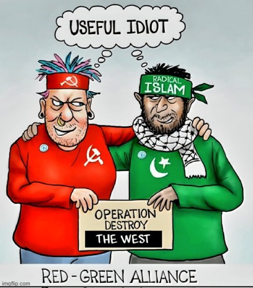 Truthful Meme of the Day | image tagged in truth,radical,islam,communism,democrat party,communist socialist | made w/ Imgflip meme maker