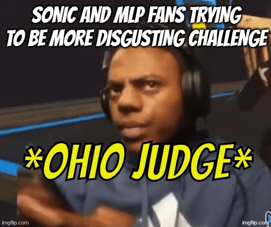 Ohio Judge | sonic and mlp fans trying to be more disgusting challenge | image tagged in ohio judge | made w/ Imgflip meme maker