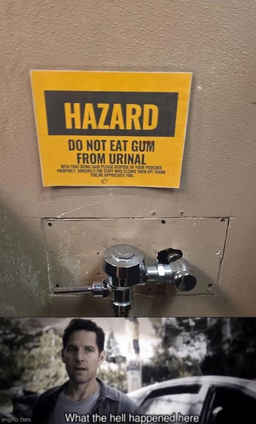Eating Gum | image tagged in what the hell happened here,gum,chewing,urinal | made w/ Imgflip meme maker