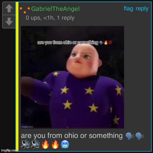 nvm im embarrassed this was me | image tagged in gabriel are you from ohio or something | made w/ Imgflip meme maker