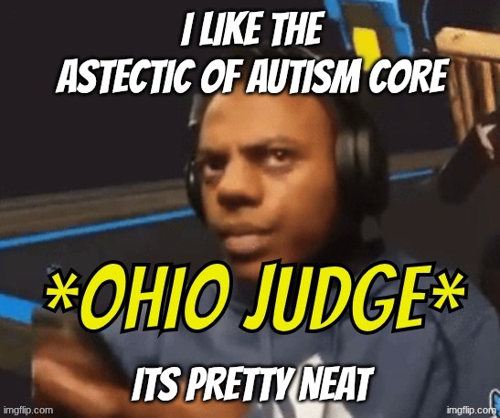 Ohio Judge | I like the astectic of autism core; its pretty neat | image tagged in ohio judge | made w/ Imgflip meme maker
