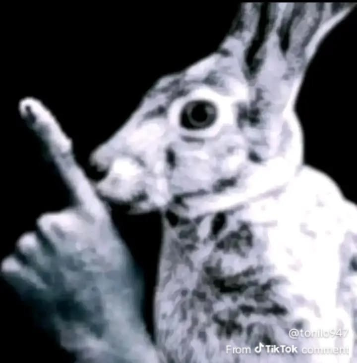 hush bunny Blank Meme Template