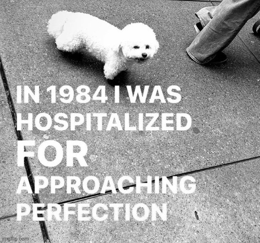 approaching perfection | image tagged in approaching perfection | made w/ Imgflip meme maker