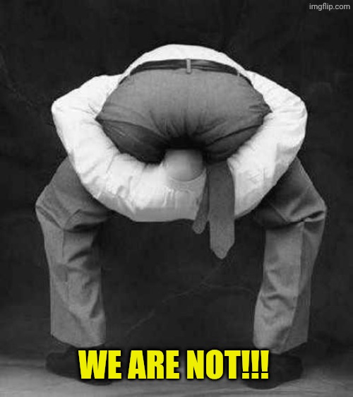 Guy With Head Up His Ass | We are not!!! | image tagged in guy with head up his ass | made w/ Imgflip meme maker