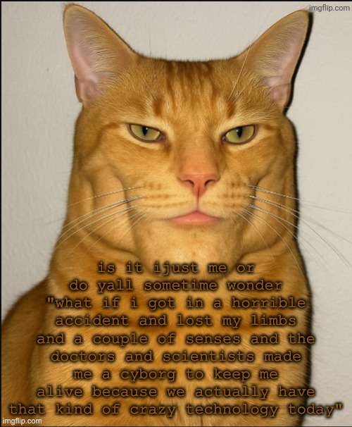 chad cat | is it ijust me or do yall sometime wonder "what if i got in a horrible accident and lost my limbs and a couple of senses and the doctors and scientists made me a cyborg to keep me alive because we actually have that kind of crazy technology today" | image tagged in chad cat | made w/ Imgflip meme maker