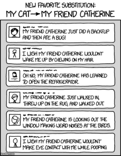 "I can't get any work done because my friend Catherine is sitting on my keyboard." | image tagged in substitution,cat,my,friend,catherine,what | made w/ Imgflip meme maker