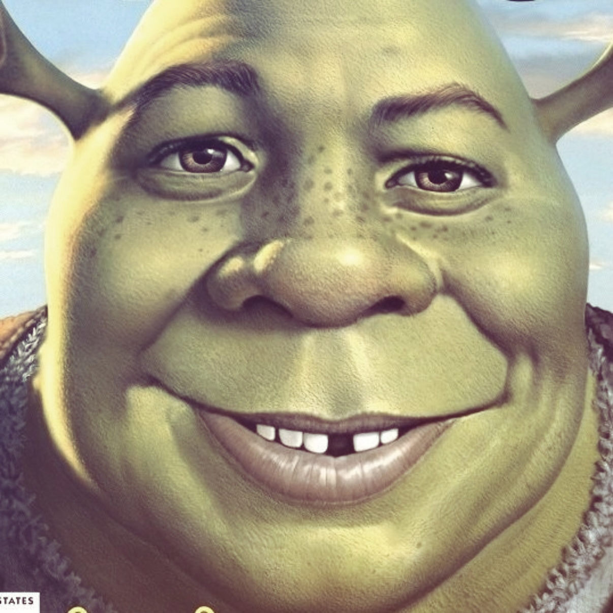 MAD Shrek Blank Meme Template