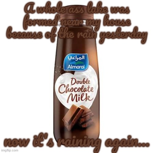 Almarai Double Chocolate Milk | A whole ass lake was formed near my house because of the rain yesterday; now it's raining again... | image tagged in almarai double chocolate milk | made w/ Imgflip meme maker