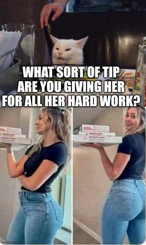 What sort of tip are you giving her for all her hard work? | image tagged in smudge that darn cat | made w/ Imgflip meme maker