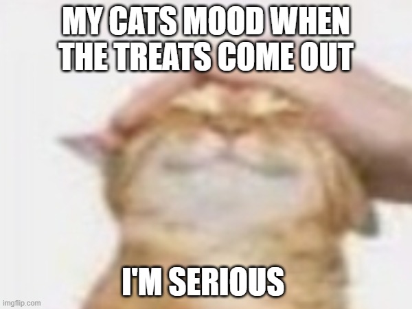 sound of claws on tiles | my cats mood when the treats come out; I'm serious | image tagged in cats,treats,funny memes | made w/ Imgflip meme maker