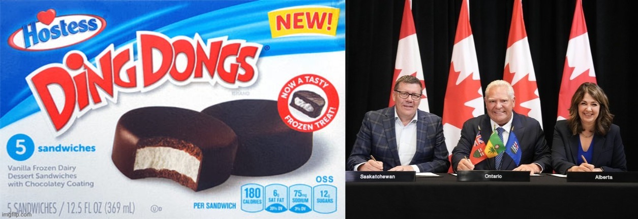 Canadian politics | image tagged in political meme | made w/ Imgflip meme maker