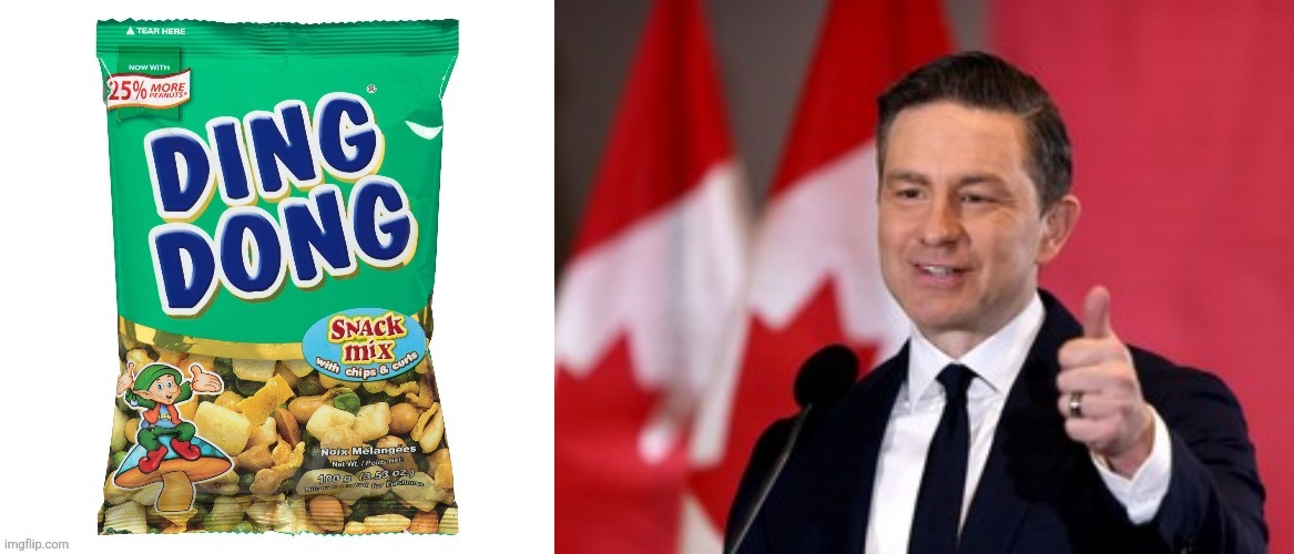 Canadian politics | image tagged in political meme | made w/ Imgflip meme maker