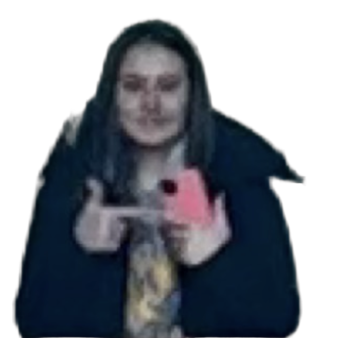 Abigail Nicole Gibson Blank Meme Template