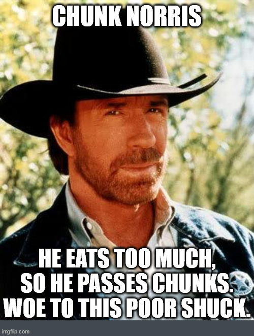 chunk norris | chunk norris; he eats too much, so he passes chunks. woe to this poor shuck. | image tagged in memes,chuck norris | made w/ Imgflip meme maker