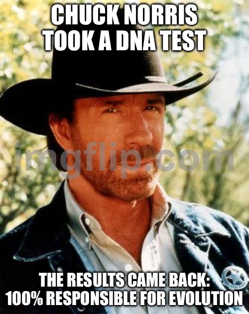 CHUCK NORRIS TOOK A DNA TEST; THE RESULTS CAME BACK: 100% RESPONSIBLE FOR EVOLUTION | CHUCK NORRIS TOOK A DNA TEST; THE RESULTS CAME BACK: 100% RESPONSIBLE FOR EVOLUTION | image tagged in memes,chuck norris,chuck norris approves,dna,evolution,anti-religion | made w/ Imgflip meme maker