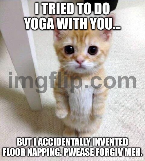 I TRIED TO DO YOGA WITH YOU... BUT I ACCIDENTALLY INVENTED FLOOR NAPPING. PWEASE FORGIV MEH. | I TRIED TO DO YOGA WITH YOU... BUT I ACCIDENTALLY INVENTED FLOOR NAPPING. PWEASE FORGIV MEH. | image tagged in memes,cute cat,please forgive me,cat memes,yoga,nap | made w/ Imgflip meme maker