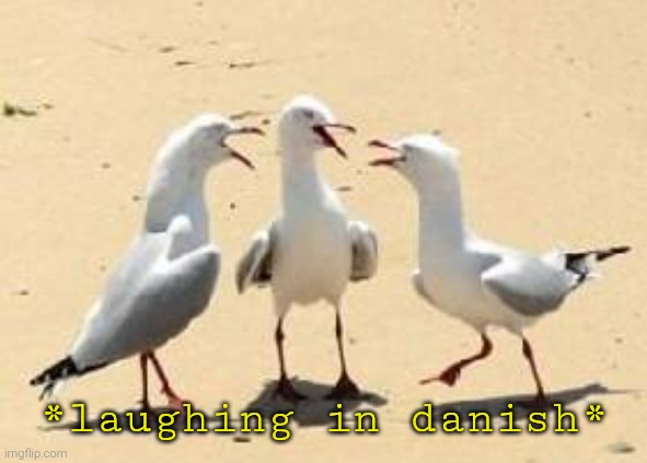 laughing seagulls | *laughing in danish* | image tagged in laughing seagulls | made w/ Imgflip meme maker