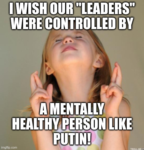 I wish | I wish our "leaders" were controlled by; a mentally healthy person like
PUTIN! | image tagged in i wish | made w/ Imgflip meme maker