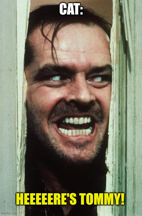 Here's Johnny Meme | cat: heeeeere's Tommy! | image tagged in memes,here's johnny | made w/ Imgflip meme maker
