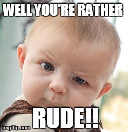 Skeptical Baby Meme | WELL YOU'RE RATHER  RUDE!! | image tagged in memes,skeptical baby | made w/ Imgflip meme maker