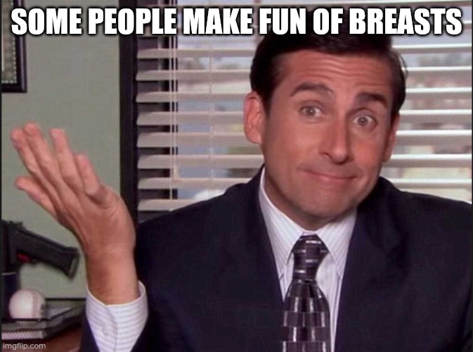 Some people make fun of breasts | image tagged in michael scott | made w/ Imgflip meme maker