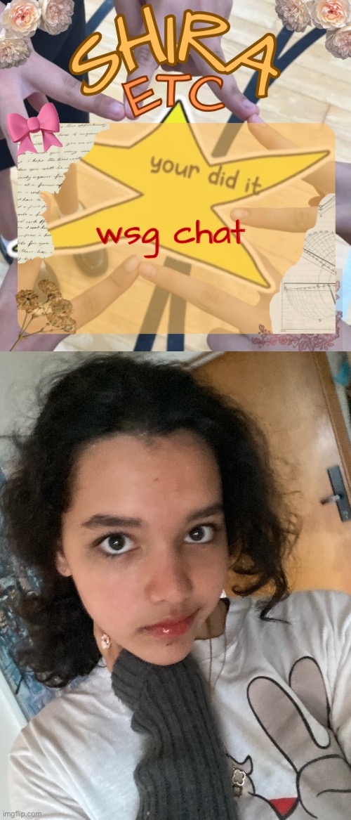 wsg chat | image tagged in shira s best temp | made w/ Imgflip meme maker