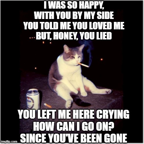 My Cat Clyde, the Blues Singer on Skid Row | I was so happy, with you by my side
You told me you loved me
but, honey, you lied; You left me here crying
how can I go on?
Since you've been gone | image tagged in vince vance,cats,cigarettes,beer can,bum,alcoholic | made w/ Imgflip meme maker