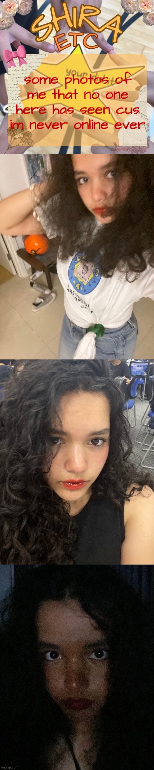 some photos of me that no one here has seen cus im never online ever | image tagged in shira s best temp | made w/ Imgflip meme maker