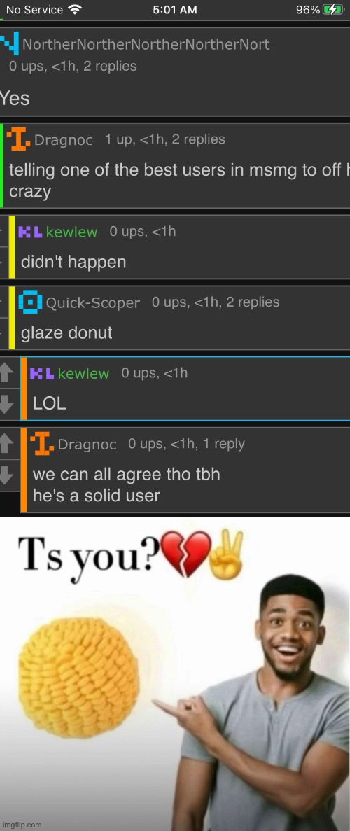 what r u saying lol for gang??? | image tagged in ts you | made w/ Imgflip meme maker