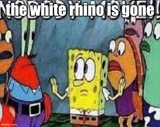NOBODY MOVE!! | the white rhino is gone | image tagged in nobody move | made w/ Imgflip meme maker