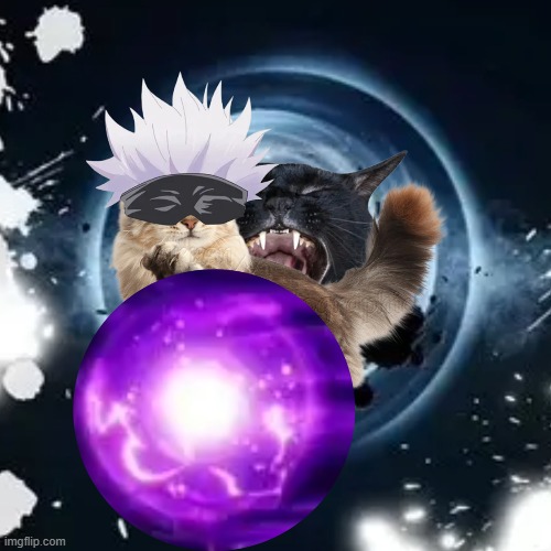 Gojo cat | image tagged in cats,anime,jujutsu kaisen,gojo | made w/ Imgflip meme maker