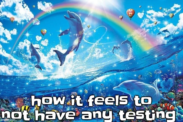 but everyone else does tho so I'm lonely... | how it feels to not have any testing | image tagged in happy dolphin rainbow | made w/ Imgflip meme maker