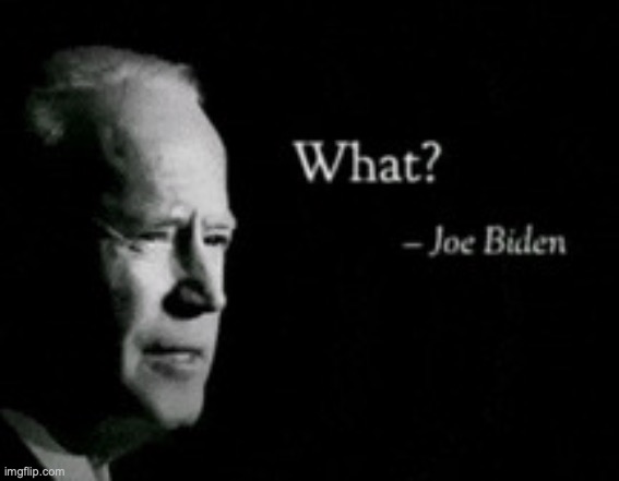 what | image tagged in what | made w/ Imgflip meme maker