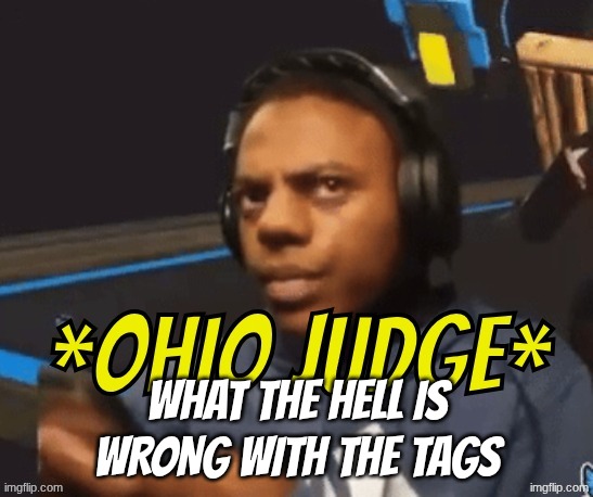Ohio Judge | what the hell is wrong with the tags | image tagged in ohio judge | made w/ Imgflip meme maker