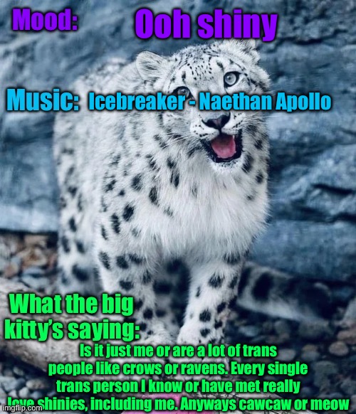 I must have them | Ooh shiny; Icebreaker - Naethan Apollo; Is it just me or are a lot of trans people like crows or ravens. Every single trans person I know or have met really love shinies, including me. Anyways cawcaw or meow | image tagged in aprilthetgirl s announcement temp | made w/ Imgflip meme maker