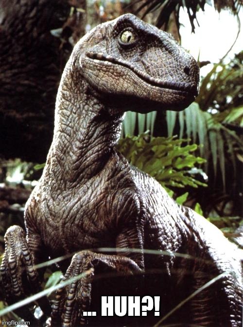 Velociraptor | ... huh?! | image tagged in velociraptor | made w/ Imgflip meme maker