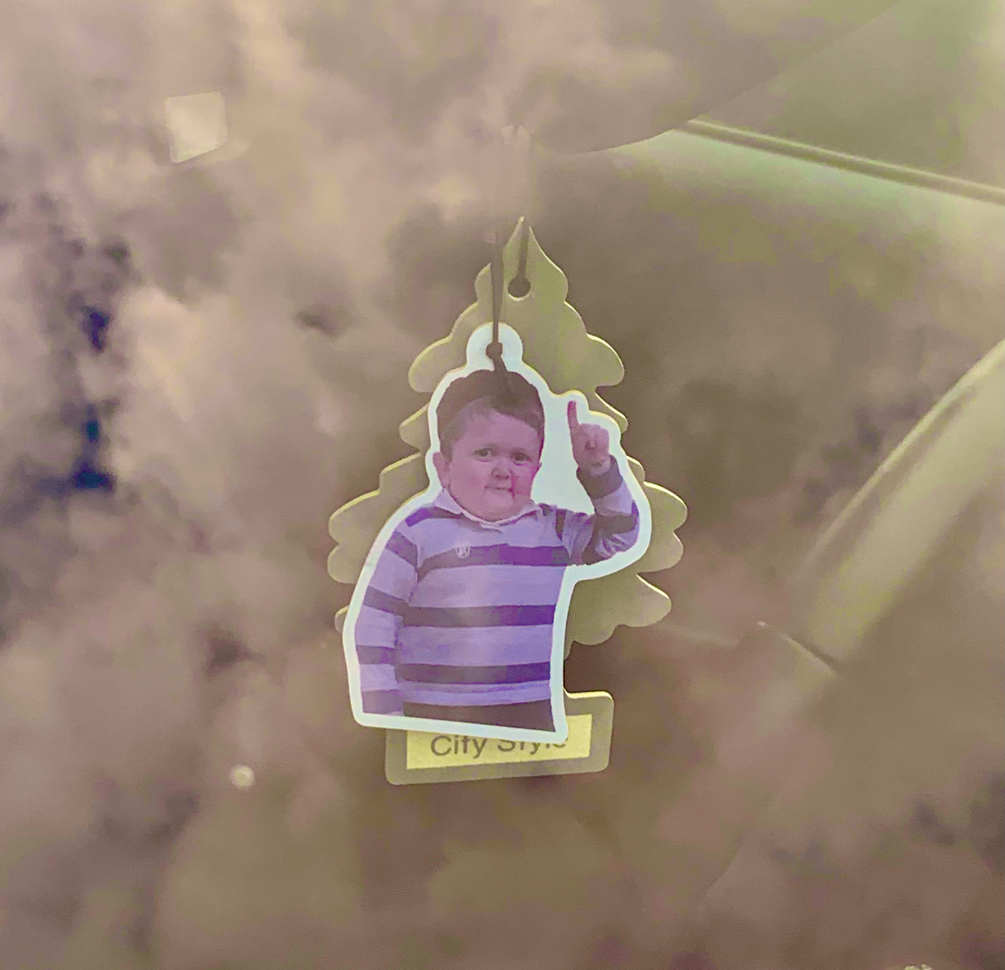 Ich hab's! Blank Meme Template