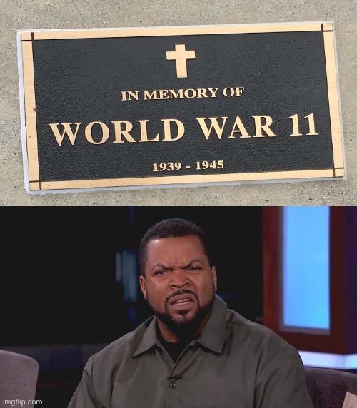 Really? Ice Cube | image tagged in really ice cube | made w/ Imgflip meme maker