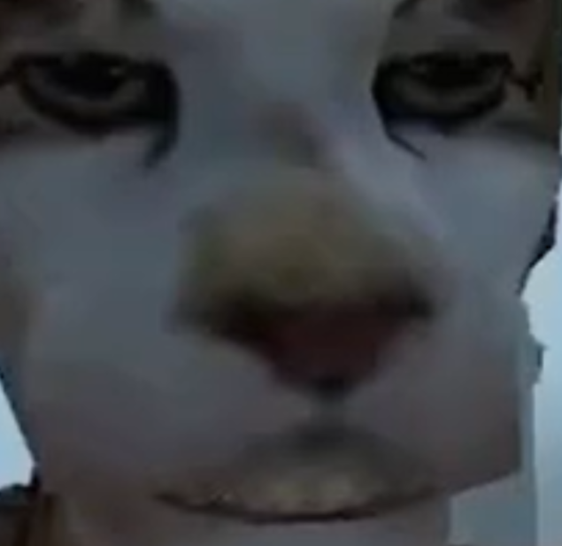 morrowind Blank Meme Template