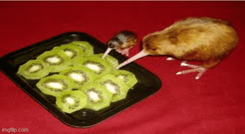 michal catson kiwi | image tagged in gifs,funny | made w/ Imgflip images-to-gif maker