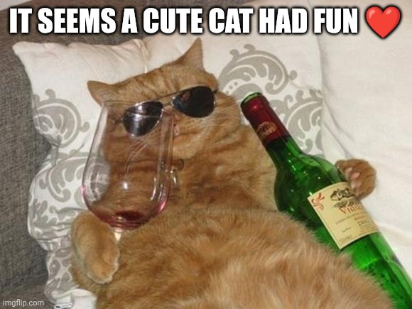 ❤️ | It seems A Cute cat had fun ❤️ | image tagged in funny cat birthday | made w/ Imgflip meme maker