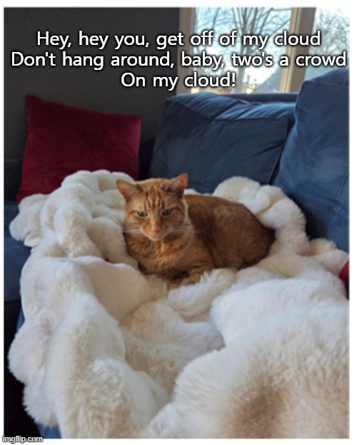 Rolling Stones cat | Hey, hey you, get off of my cloud
Don't hang around, baby, two's a crowd
On my cloud! | image tagged in cats | made w/ Imgflip meme maker