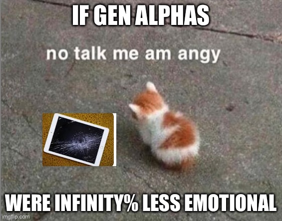 True | If Gen Alphas; Were infinity% less emotional | image tagged in no talk me am angy | made w/ Imgflip meme maker