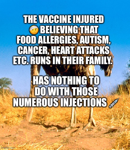 Denial Be Like | The vaccine injured 🤕 believing that food allergies, autism, cancer, heart attacks etc. runs in their family. Has nothing to do with those numerous injections 💉 | image tagged in denial be like | made w/ Imgflip meme maker