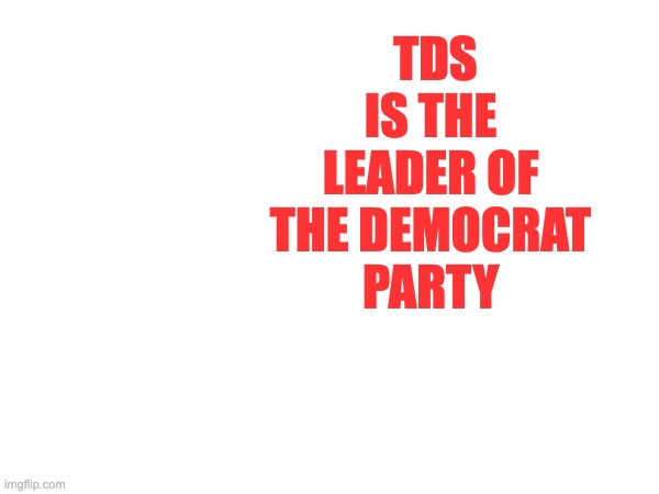 TDS IS THE
LEADER OF
THE DEMOCRAT
PARTY | made w/ Imgflip meme maker