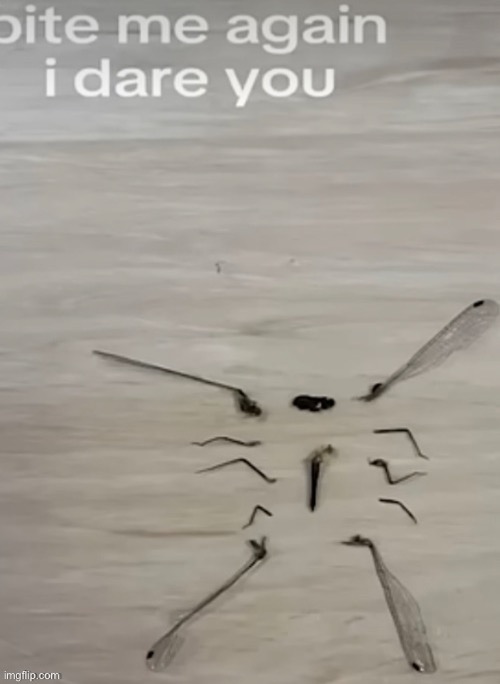 and i have hands. and i have feet | made w/ Imgflip meme maker