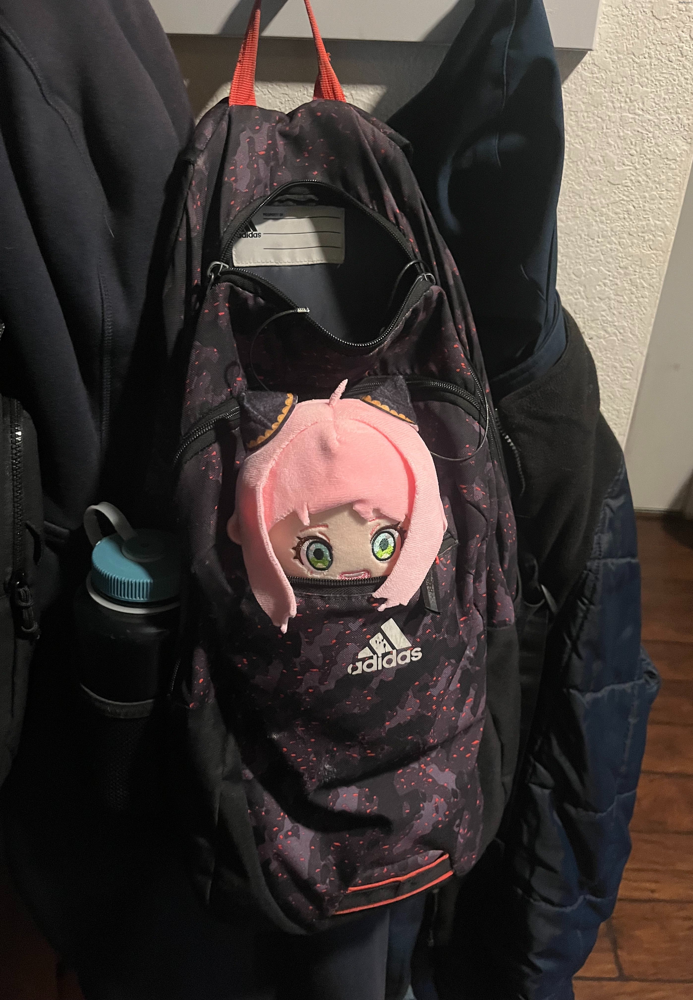 I think she wants to come too. | image tagged in spy x family | made w/ Imgflip meme maker