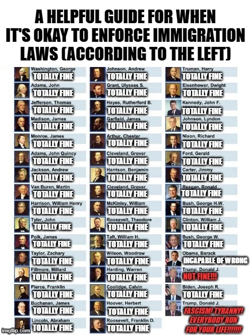 This took me longer to make than you think it did | A helpful guide for when it's okay to enforce immigration laws (according to the left) | image tagged in political meme,politics lol,illegal immigration,immigration,liberal hypocrisy,leftist hypocrisy | made w/ Imgflip meme maker