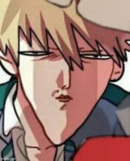 Bakugo WTF | image tagged in bakugo wtf | made w/ Imgflip meme maker