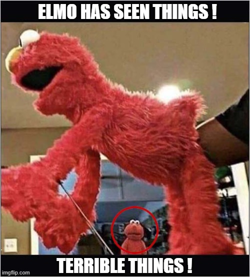 That Look ! | elmo has seen things ! terrible things ! | image tagged in elmo,puppet,arm,ass | made w/ Imgflip meme maker